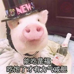 金长官表情包猪猪
