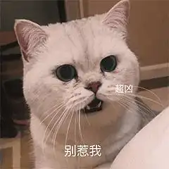  粉怎么这样