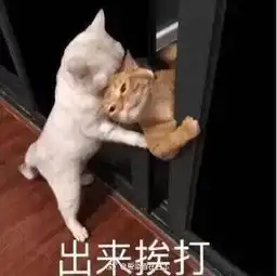  生气表情包滚开