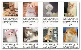  萌宠可爱表情包萌宠可爱图片表情合集中文版软件下载