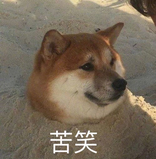  来吐槽自己的考研专业