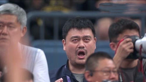 未响应表情包姚明