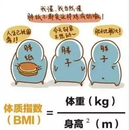  大数据下,怎样的身材能让寿命最长