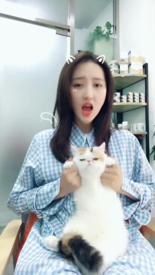  我家的猫咪一脸懵逼的看着我