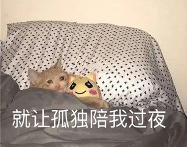  失眠表情包搞笑图片大全每天深夜总有一堆不睡觉的原因