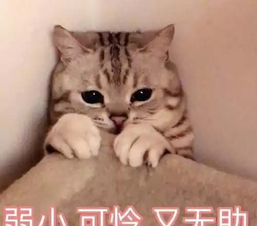  搞笑段子晚上朋友打电话来说要约我出去喝酒