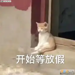 黄色表情包图片放假