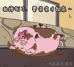  惊险镇江南山野猪频出,猛撞出租车晕倒因是二级保护动物已送去医治