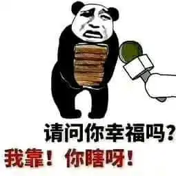 表情包分类必胜