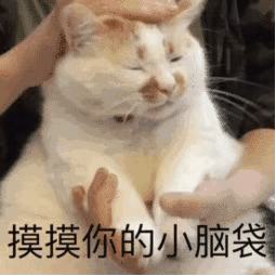 表情包等不到你的晚安,坚决不睡觉