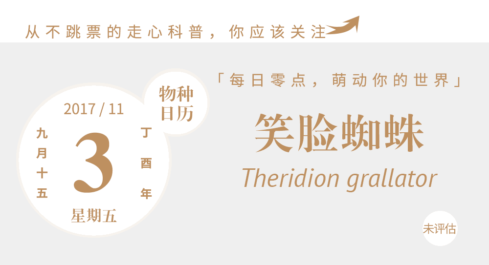  快,接住这只有魔性笑容的超微表情包