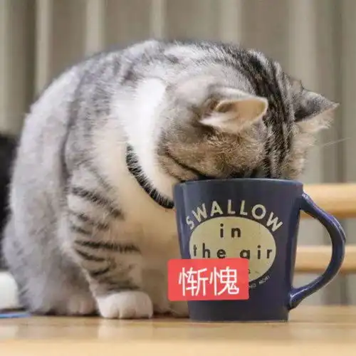  惭愧的表情包怎么画