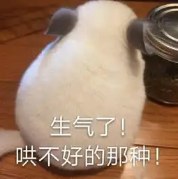  这一届玩家太难带了部落冲突黄金令牌奖励太多,肝帝退游警告