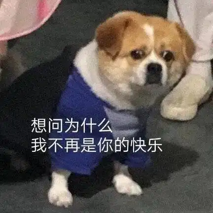在线表情包沙雕投降