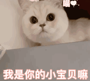  微信新表情包