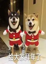  拜年