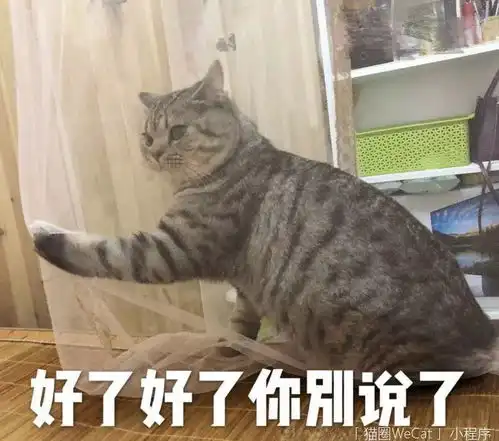  你用你家猫做过什么沙雕表情包猫圈话题