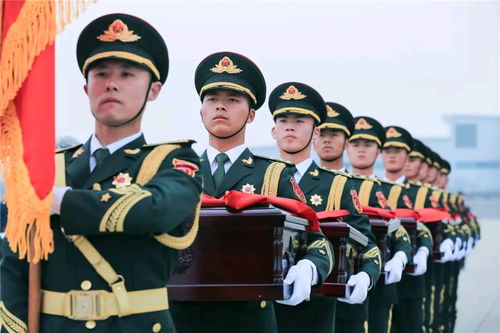  走咱们回家英雄不朽复制搬运