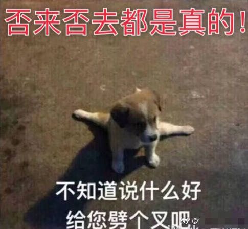  否来否去都是真的不知道说什么好,给您劈个叉吧