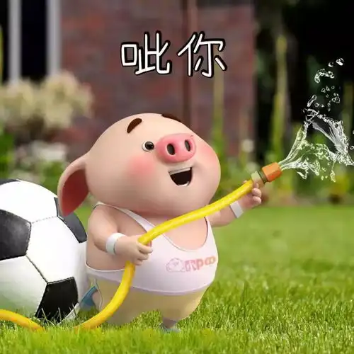  表情包天呐这是谁家的绝世小可爱吖