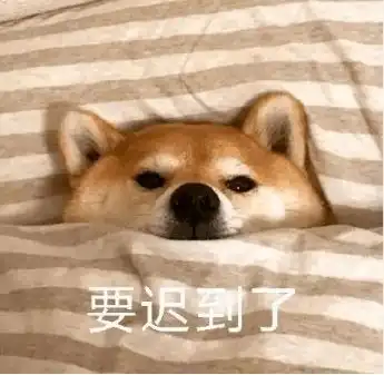 柴犬带字表情包绿帽子