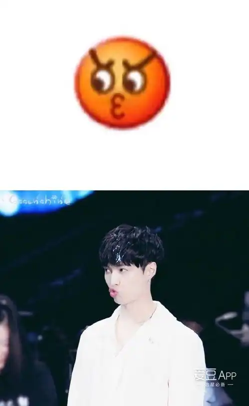  继脑子里装了一座动物园后,艺兴再度占领emoji界