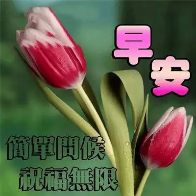  2023最新早晨好早上好漂亮问候祝福图片头像