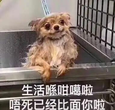  自己有对象,却跟别人说没有对象,是不是很渣