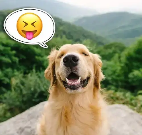  汪星人表情包,萌的一脸血