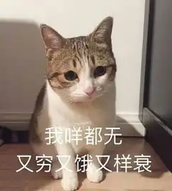 算我求你的表情包猫输光