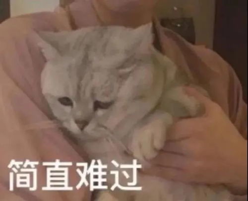  沙雕表情包有些事我心里特别有数
