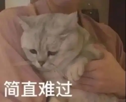 沙雕表情包有些事我心里特别有数
