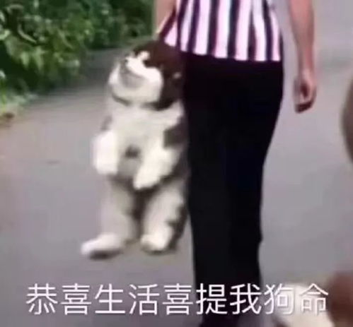  雨雨雨热热热,南宁下周的天气要放大招了你准备好了吗