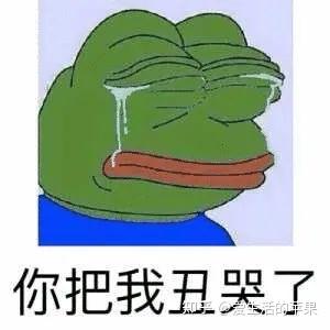  青蛙表情包