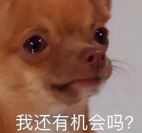  呸一把年纪还装嫩这个市区新盘要不要脸