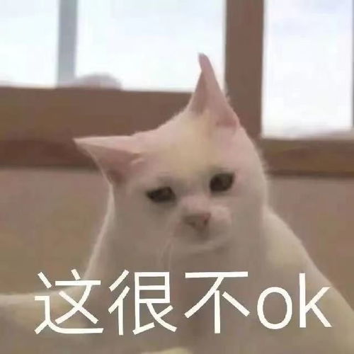  网购到鞠婧祎同款口罩哈哈哈救救我的眼睛...