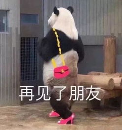  今日表情推荐,放假啦