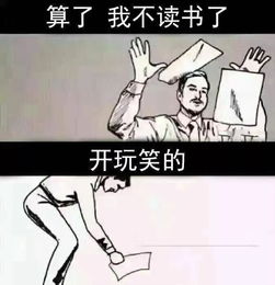 2017年度最强表情包合集出炉一个都没用过算我输