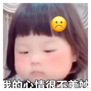  丸子妹表情包傻子你就是垃圾