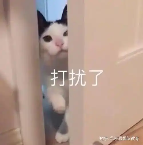 美国学校都在村里在村校留学是一种怎样的体验 美国学校都在村里在村校留学是一种怎样的体验