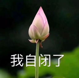  打破次元壁,玩转校运会