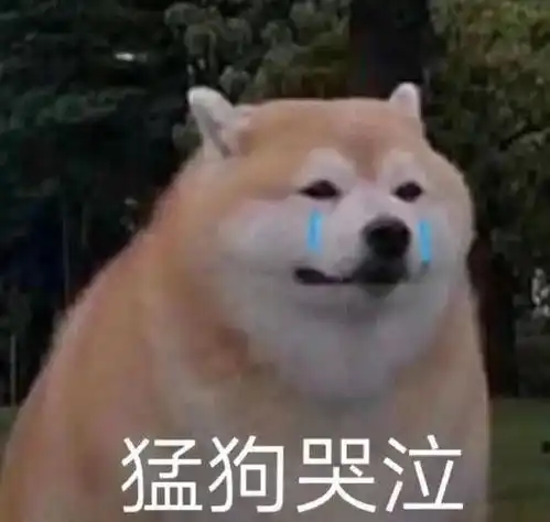  比特币一夜暴跌10000美元31万人爆仓,66亿美元瞬间灰飞烟灭交易coindesk网易订阅