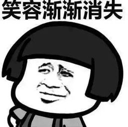  无巧不成婚婚礼背后的鸡飞狗跳,笑死我了知乎
