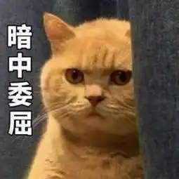 开心的像个傻子表情包