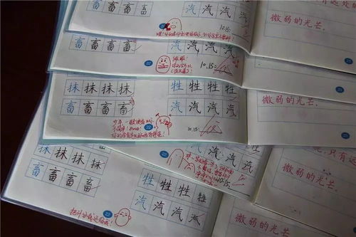  常州一小学老师表情包评语走红,网友我都想写作业了