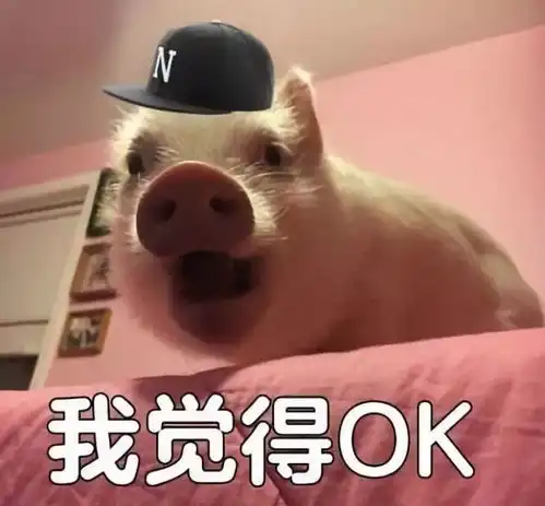 表情包营销,才是当今最skrskr的走红方式 表情包营销,才是当今最skrskr的走红方式