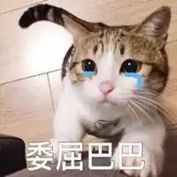  委屈表情包搞笑图片微信头像图片大全