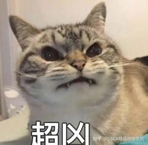 这个离埃塞最近的国家,直到19世纪才种起咖啡 这个离埃塞最近的国家,直到19世纪才种起咖啡