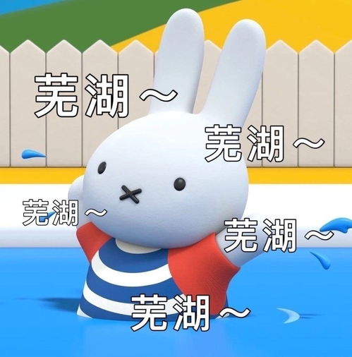  最近qq超火的米菲兔表情包,这也太可爱了吧