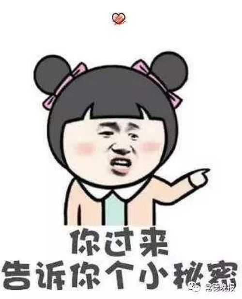  狗年斗图表情包不够用戊戌狗狗表情包来助攻了